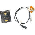 Sensor, Abgastemperatur 707550