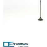 6x Einlassventil für Deutz TCG2016 TCG3016 1234 4649 OEGERMANY 040520201600 6x Einlassventil für Deutz TCG2016 TCG3016 1234 4649 OEGERMANY 040520201600