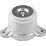 Tedgum TED79851 Lagerung, Motor