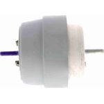 Vaico V10-2960 Lagerung, Motor