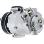 Kompressor, Klimaanlage ACP 1364 000P