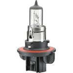 Glühlampe, Hauptscheinwerfer 8GJ 008 837-121 Glühlampe, Hauptscheinwerfer 8GJ 008 837-121