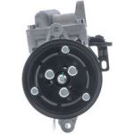 Kompressor, Klimaanlage ACP 1239 000S