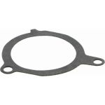 Vaico V25-50024 Wasserpumpe