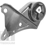 Tedgum 00131530 Lagerung, Motor