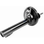 Vaico V10-1860 Stoßdämpfer Vaico V10-1860 Stoßdämpfer
