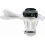 Vaico V10-50045 Wasserpumpe