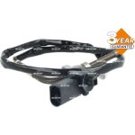Sensor, Abgastemperatur 707487