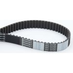 ContiTech CT604 Zahnriemen ContiTech CT604 Zahnriemen