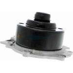 Wasserpumpe V30-50018