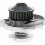Vaico V24-50002 Wasserpumpe Vaico V24-50002 Wasserpumpe