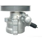 Hydraulikpumpe, Lenkung 54304 Hydraulikpumpe, Lenkung 54304