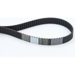 Zahnriemen CT755 Zahnriemen CT755