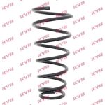 Fahrwerksfeder RG6798 Fahrwerksfeder RG6798