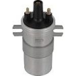 BorgWarner (BERU) ZS565 Zündspule