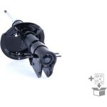 Stoßdämpfer G16725