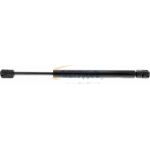 Gasfeder, Koffer-/Laderaum V10-1035
