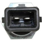 Sensor, Ansauglufttemperatur 0905061