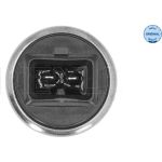 Sensor, Kühlmitteltemperatur 100 919 0024 Sensor, Kühlmitteltemperatur 100 919 0024