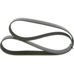 Keilrippenriemen 1 987 945 504