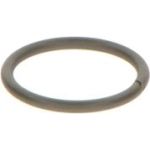 Dichtring F 00V C23 002