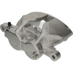 Bremssattel 196431