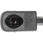 Vaico V30-2097 Gasfeder, Motorhaube Vaico V30-2097 Gasfeder, Motorhaube