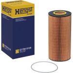 Ölfilter E175H D129