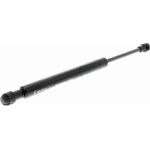 Gasfeder, Koffer-/Laderaum V20-0995