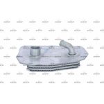 Ölkühler, Motoröl 31352 Ölkühler, Motoröl 31352