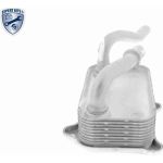 Vemo V30-60-1266 Ölkühler, Motoröl Expert Kits + Vemo V30-60-1266 Ölkühler, Motoröl Expert Kits +
