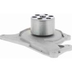 Vaico V46-50019 Wasserpumpe Green Mobility Parts Vaico V46-50019 Wasserpumpe Green Mobility Parts