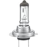 Glühlampe 8GH 007 157-231 Glühlampe 8GH 007 157-231