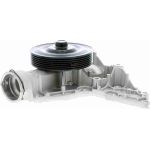 Vaico V30-50070 Wasserpumpe