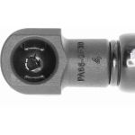 Gasfeder, Koffer-/Laderaum V42-0308