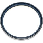 Dichtring 12001924B Dichtring 12001924B