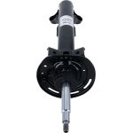 Stoßdämpfer 317 555