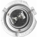 Glühlampe, Fernscheinwerfer V99-84-0002 Glühlampe, Fernscheinwerfer V99-84-0002