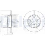 Bremsscheibe BG9789