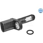 Sensor, Ansauglufttemperatur 100 905 0024