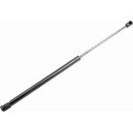 Gasfeder, Koffer-/Laderaum V25-0429