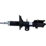 Stoßdämpfer 317 598