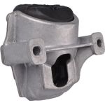Tedgum 00058470 Lagerung, Motor