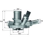 Thermostat, Kühlmittel TI 147 80 Thermostat, Kühlmittel TI 147 80