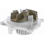 Vaico V25-50028 Wasserpumpe Green Mobility Parts Vaico V25-50028 Wasserpumpe Green Mobility Parts
