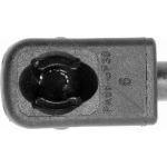 Gasfeder, Koffer-/Laderaum V10-1955 Gasfeder, Koffer-/Laderaum V10-1955
