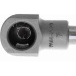 Gasfeder, Koffer-/Laderaum V46-0404 Gasfeder, Koffer-/Laderaum V46-0404