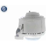 Vaico V30-0036 Lagerung, Motor Q+, Erstausrüsterqualität Vaico V30-0036 Lagerung, Motor Q+, Erstausrüsterqualität