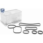 Vemo V46-60-0012 Ölkühler, Motoröl Expert Kits + Vemo V46-60-0012 Ölkühler, Motoröl Expert Kits +