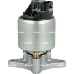 AGR-Ventil 48719 AGR-Ventil 48719